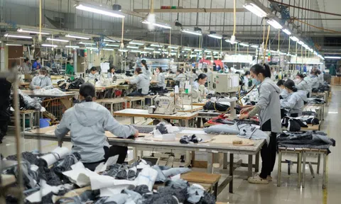 May Thanh Trì (TTG) điều chỉnh phương án sử dụng vốn, tập trung đảm bảo chi phí vận hành