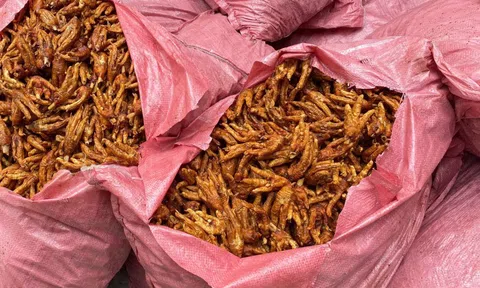 Thu giữ 1.500 kg chân gà không rõ nguồn gốc xuất xứ