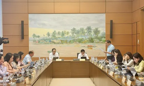 ĐBQH ủng hộ giảm thuế GTGT đến hết năm 2026 để thúc đẩy tiêu dùng, giữ đà tăng trưởng