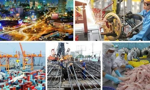 Thành lập Hội đồng Tư vấn chính sách