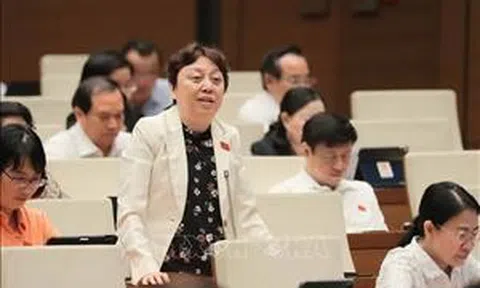 Đề xuất 'thanh tra đột xuất nhiều hơn thanh tra kế hoạch'