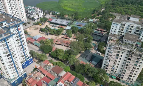 Tạm dừng kiểm kê đất đai cấp tỉnh đến khi sáp nhập xong