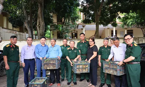 Sức sống mới từ chính sách an sinh cho nạn nhân bom mìn