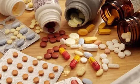 Ranh giới nhân văn và tội ác