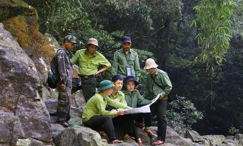 Quảng Trị có bao nhiêu diện tích rừng được hưởng lợi từ "bán không khí" năm 2025?