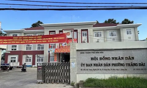 Đồng Nai: Sai phạm khiến Chủ tịch UBND phường Trảng Dài bị bắt