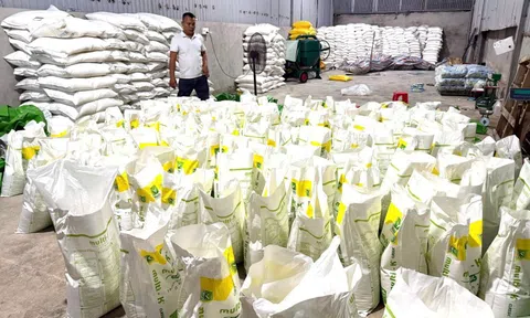 Đột kích xưởng sản xuất phân bón giả, nhập nguyên liệu từ Trung Quốc