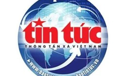 Phát hiện hơn 400 kg thực phẩm đông lạnh không rõ nguồn gốc xuất xứ