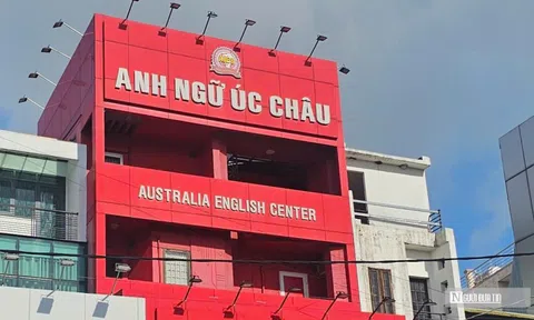 Trách nhiệm pháp lý vụ Trung tâm Anh ngữ Úc Châu "biến mất" sau khi thu gần 16 tỷ đồng