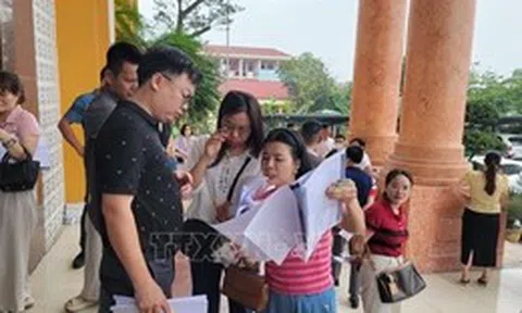 Hưng Yên không có đột biến tại phiên đấu giá đất vùng ven đô