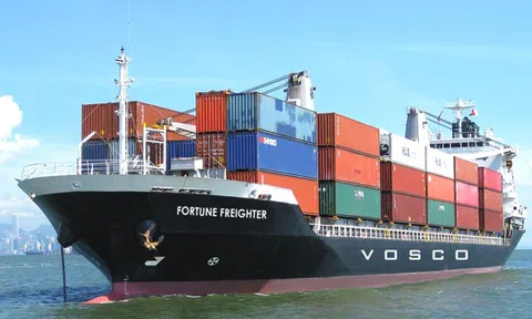 Vận tải Biển Việt Nam (VOS) không công bố loạt nghị quyết mua bán tàu, báo lỗ gần 54 tỷ đồng quý I/2025