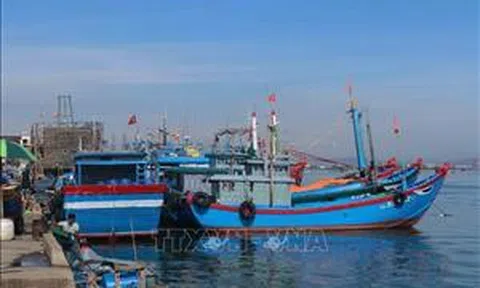Phạt 5 chủ tàu vi phạm quy định giám sát hành trình khai thác thủy sản