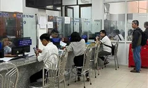 Thành phố Hồ Chí Minh: Kết thúc hoạt động đơn vị hành chính quận, huyện trước ngày 15/6