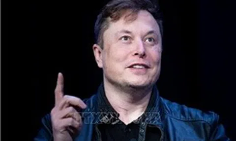Tỷ phú Elon Musk bị chỉ trích phá hủy thương hiệu Tesla vì dấn thân chính trị