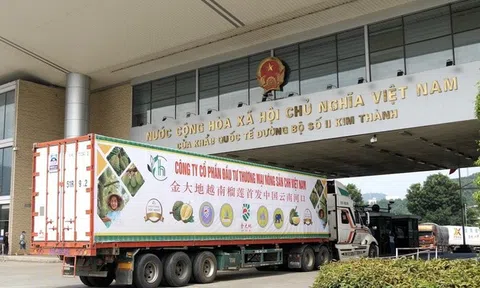 Thống nhất thiết lập “luồng xanh nông sản” Việt - Trung