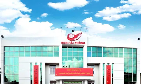 Sơn Hải Phòng (HPP) chốt quyền nhận cổ tức 20% tiền mặt, hoàn tất kế hoạch 30% cho năm 2024