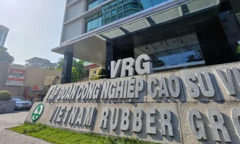 Tập đoàn Công nghiệp Cao su Việt Nam (GVR) trình kế hoạch tăng cổ tức 2024 lên 1.600 tỷ, mục tiêu lãi 2025 gần 5.000 tỷ đồng