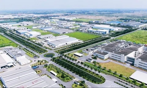 Bình Định: Chấp thuận đầu tư khu công nghiệp Bình Nghi hơn 900 tỷ đồng