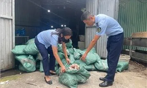 Thu giữ hơn 33 tấn thực phẩm đông lạnh bốc mùi, không rõ nguồn gốc