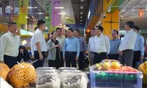 Việt Nam - Trung Quốc thúc đẩy hợp tác thương mại nông lâm thủy sản