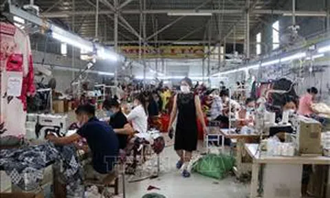 Ban hành nhiều chính sách hỗ trợ doanh nghiệp nhỏ và vừa