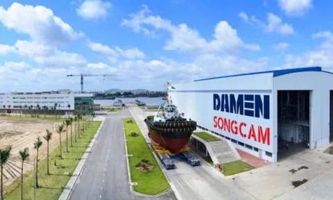 Cổ phiếu SCY lao dốc trước ngày hủy đăng ký giao dịch, dù lãi đều và nắm giữ hàng trăm tỷ tiền mặt