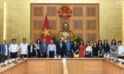 Phó Thủ tướng Bùi Thanh Sơn tiếp đoàn chuyên gia, nhà khoa học Việt Nam ở nước ngoài