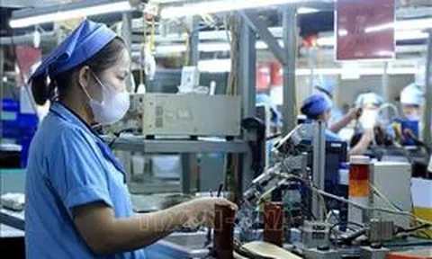 Giải pháp thực hiện Kế hoạch phát triển KT-XH, với mục tiêu tăng trưởng 8% trở lên