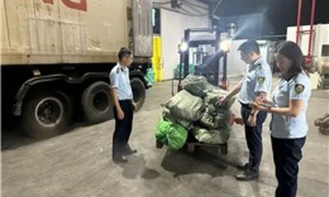 Phát hiện hơn 12 tấn chân gà đã bốc mùi hôi thối tại Quảng Ninh