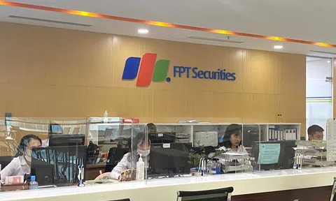 Chứng khoán FPT (FTS) hoàn tất tăng vốn lên 3.365 tỷ đồng, sắp chi gần 153 tỷ đồng cổ tức tiền mặt