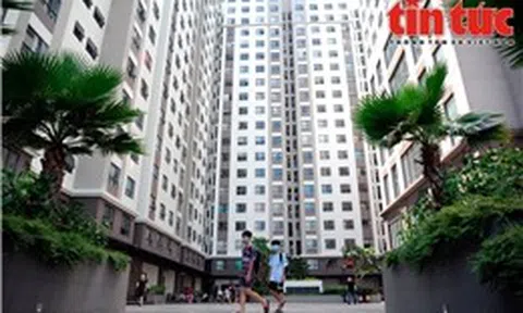 Người trẻ có nên mua nhà chung cư trả góp?