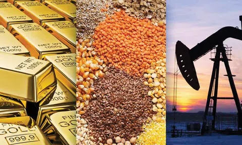 Agriseco: Giá hàng hóa thế giới hạ nhiệt, cơ hội nào cho cổ phiếu BMP, HPG, DBC, QTP?