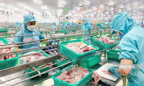 Ngành thủy sản rơi vào “vùng trũng” trong tháng 5/2025
