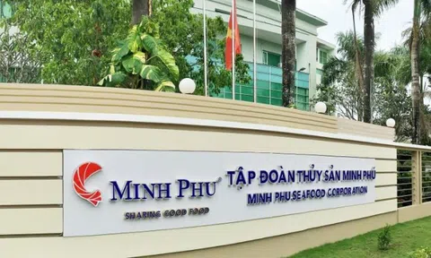 Minh Phú (MPC) đặt mục tiêu lãi gần 1.000 tỷ đồng năm 2025, trình phương án nhân sự Hội đồng Quản trị mới