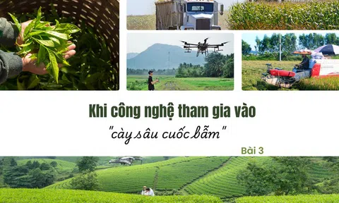Khi công nghệ tham gia vào "cày sâu cuốc bẫm" - Bài 3: Nông nghiệp hiện đại cần một hệ sinh thái bền vững