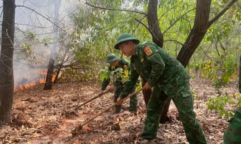 Nắng nóng gay gắt, miền Trung kích hoạt hệ thống cảnh báo sớm phòng chống cháy rừng