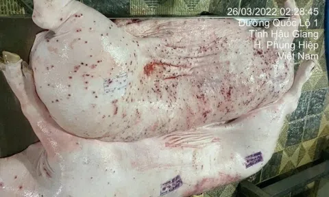 Ngành Nông nghiệp đề nghị Bộ Công an vào cuộc vụ 'C.P. Việt Nam bị tố cáo bán thịt lợn bệnh'