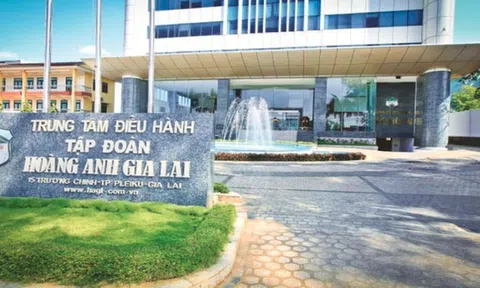Hoàng Anh Gia Lai (HAG) muốn phát hành 210 triệu cổ phiếu để hoán đổi nợ, đặt mục tiêu lãi nghìn tỷ năm 2025