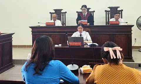 Người phụ nữ ở Đà Nẵng thắng kiện công ty hàng chục triệu đồng vì bị sa thải sai quy định
