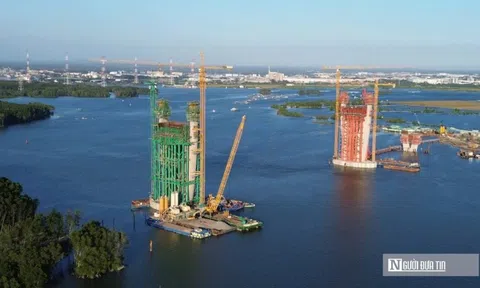 Đồng Nai chuyển đổi hơn 2,5ha rừng để xây cầu Phước An - “mắt xích” mới cho kết nối vùng kinh tế