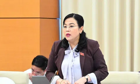 Chủ tịch, Phó Chủ tịch HĐND cấp tỉnh, cấp xã không nhất thiết là đại biểu HĐND