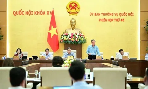 Đánh giá cao sự chủ động, nỗ lực của Chính phủ trong đảm bảo tiến độ sắp xếp đơn vị hành chính cấp tỉnh, cấp xã