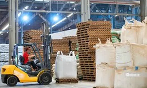 Mỗi tháng, có hơn 22.300 doanh nghiệp rời khỏi thị trường