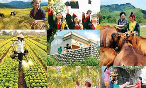 Thành lập Ban Chỉ đạo Trung ương các chương trình mục tiêu quốc gia giai đoạn 2021 - 2025