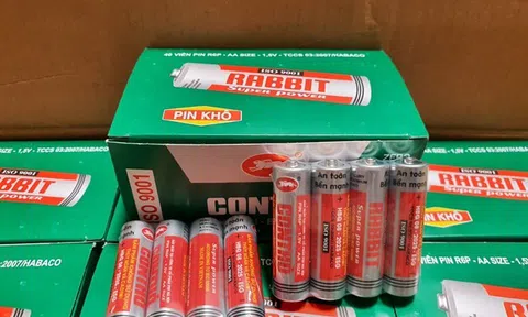 Chủ hãng pin Con Thỏ - Pin Hà Nội PHN dự chi hơn 14 tỷ đồng để tạm ứng cổ tức