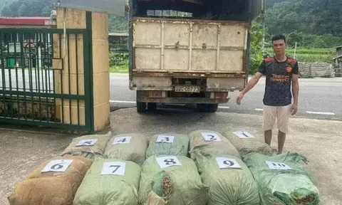 Phát hiện, thu giữ hơn 1 tấn nguyên liệu thuốc lá tại Cao Bằng