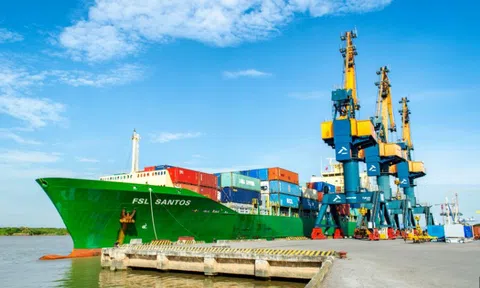 Vận tải Hải An (HAH) trình kế hoạch lợi nhuận 2025 tăng 33%, dự kiến đóng mới 4 tàu container