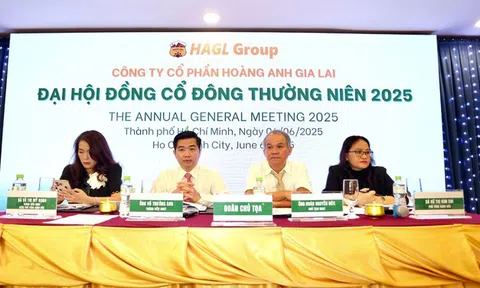 Hoàng Anh Gia Lai (HAG) đặt mục tiêu lợi nhuận ngàn tỷ năm thứ tư liên tiếp, lên kế hoạch trồng dâu nuôi tằm và cà phê Arabica