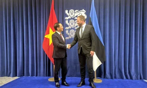 Cần sớm triển khai cơ chế tham vấn chính trị giữa hai Bộ Ngoại giao Việt Nam và Estonia