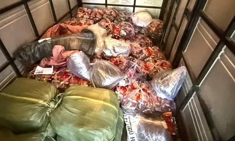 Khởi tố cặp vợ chồng làm giả 20 tấn cà phê từ đậu nành